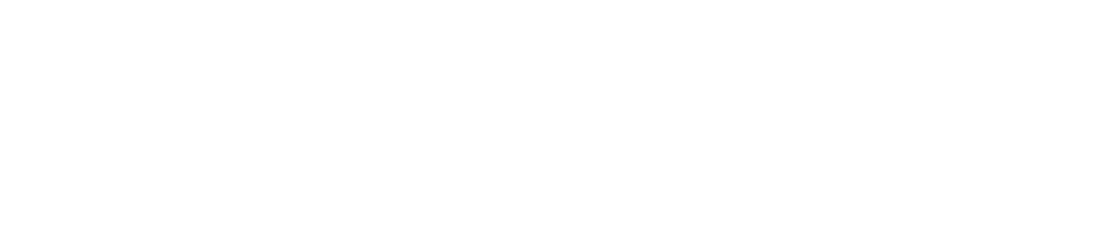 Logo Caribe Motor