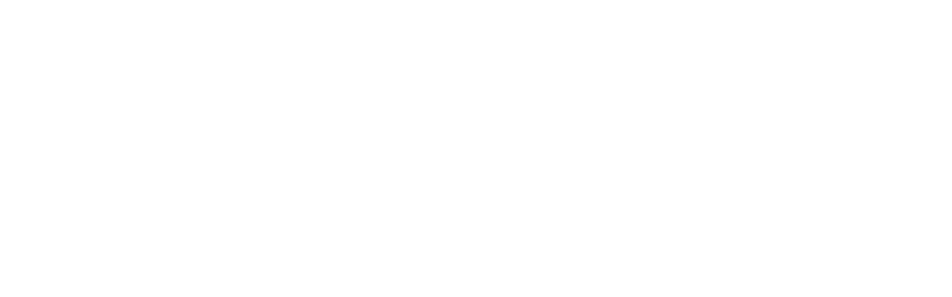 Logo Lyntik